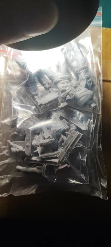 Buyer photo of this resin kit