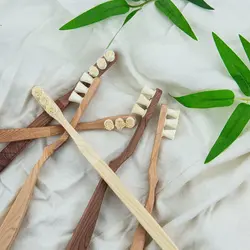 Natural Siwak Toothbrush - Miswak Toothbrush Holder Toothwak Toothbrush Travel Dental Tooth Brush Bamboo Toothbrush Natural Life