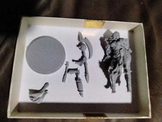 Buyer photo of this resin kit