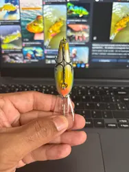 Imagen de reseña 5