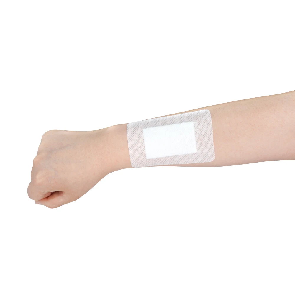 New Vaio bio Dressing Band W White M medium size 6pcs x 5pack wink and wound wound protection easy to be