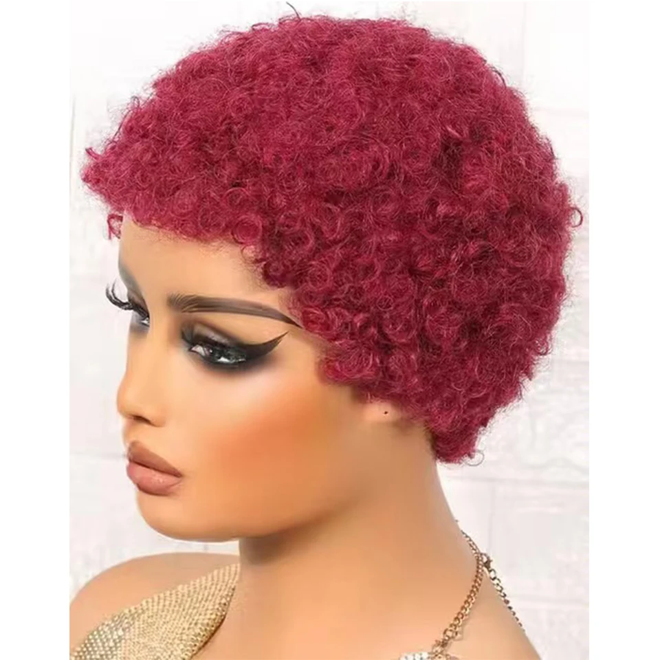 Afro Curly Wigs Fluffy 100% Human Hair Wigs For Women Girls Afro Puff Wigs With Bangs Soft Natural Looking Hair Wig HY-3002