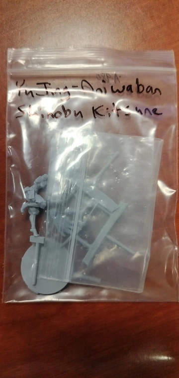 Buyer photo of this resin kit