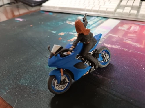 Buyer photo of this resin kit