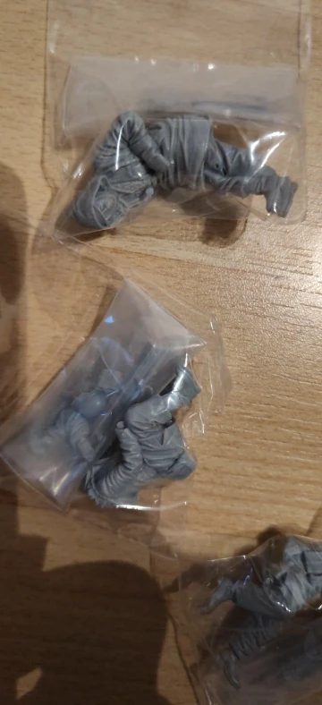 Buyer photo of this resin kit