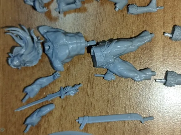 Buyer photo of this resin kit