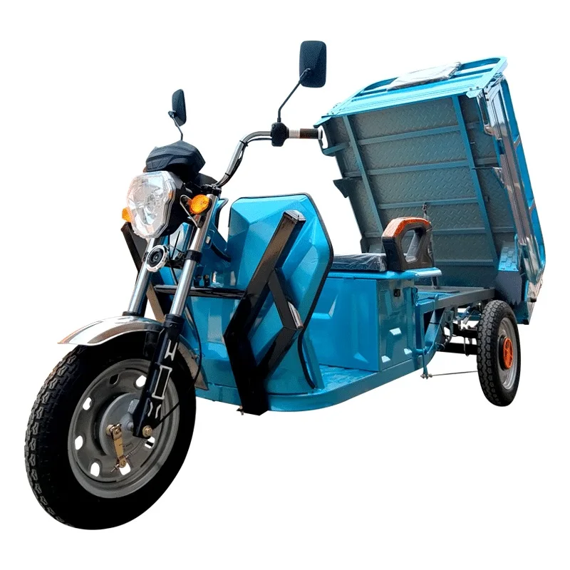 مبيعات الدراجات الكهربائية لشاحنة DDR_THREE_Wheeler #1