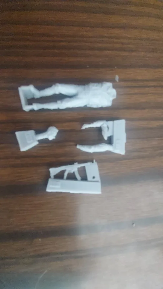 Buyer photo of this resin kit