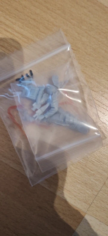 Buyer photo of this resin kit