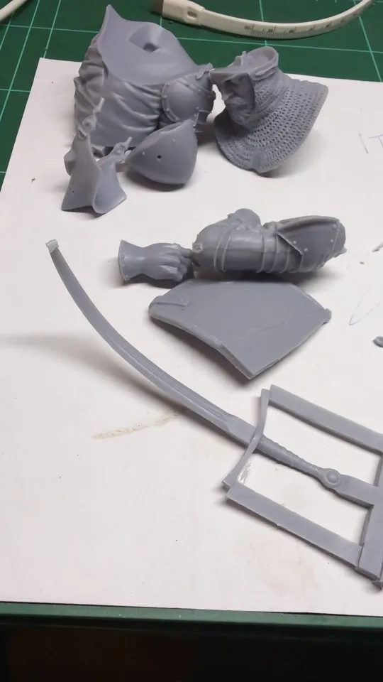 Buyer photo of this resin kit