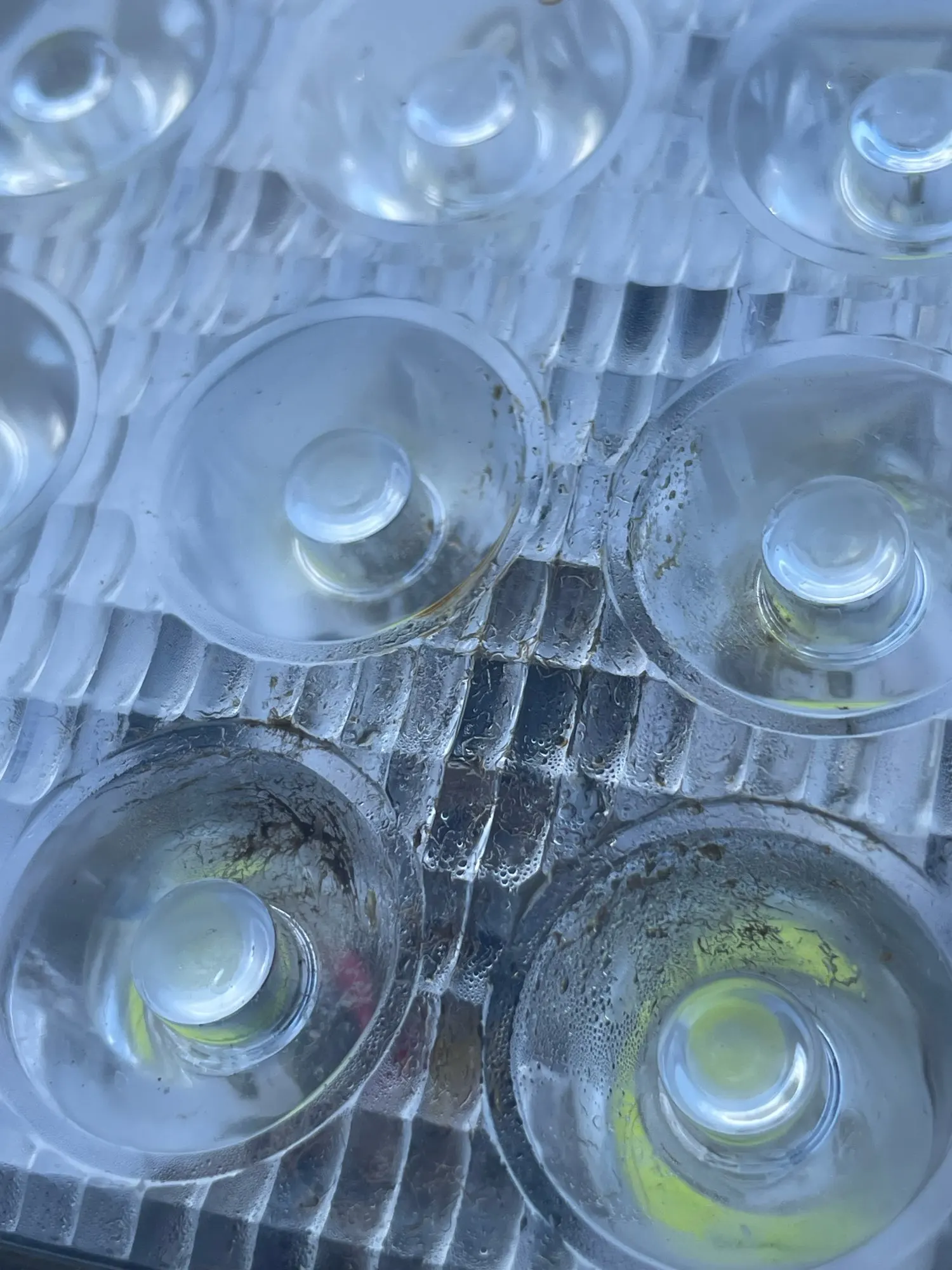 실물 포토 리뷰