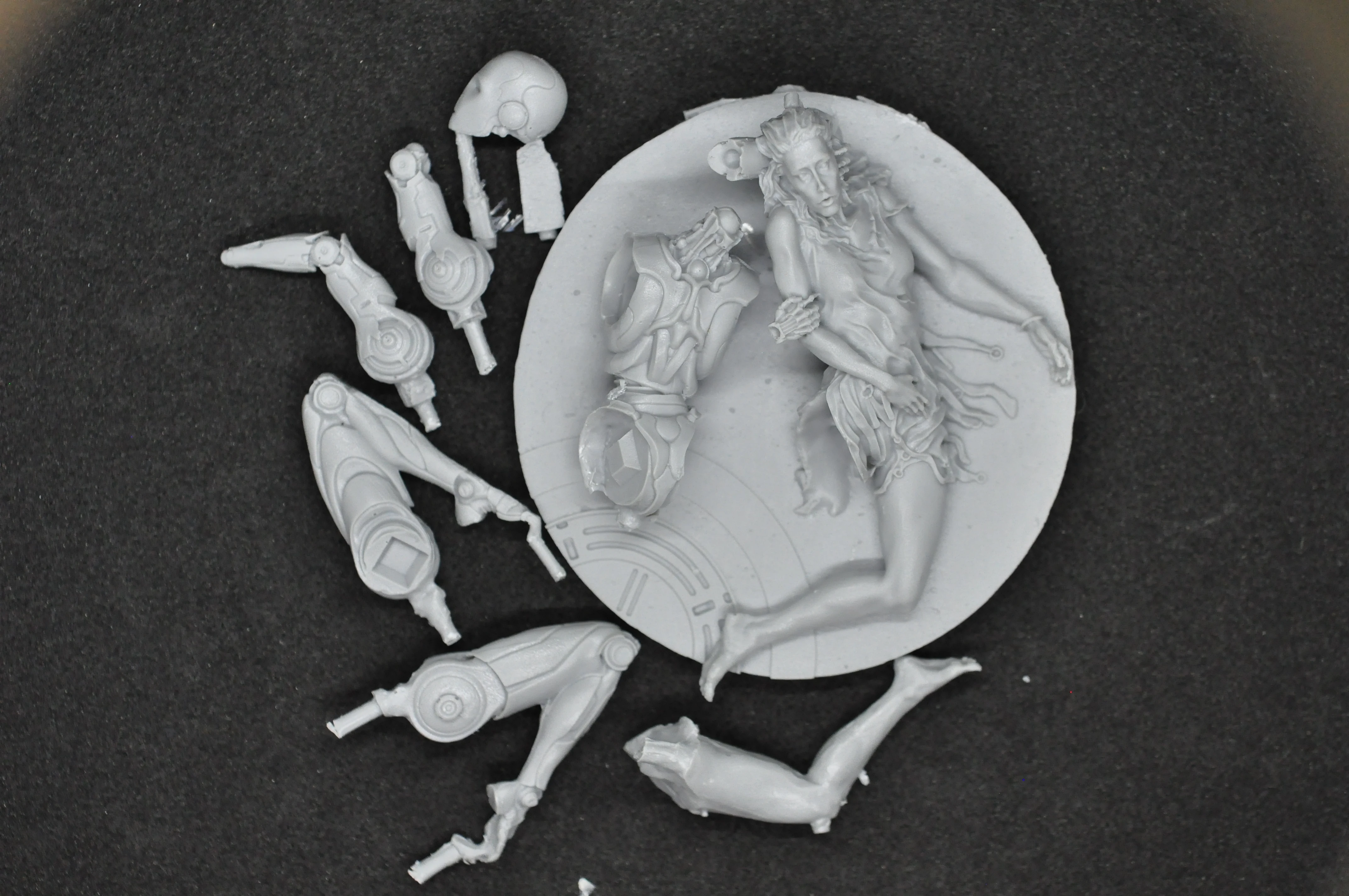 Buyer photo of this resin kit
