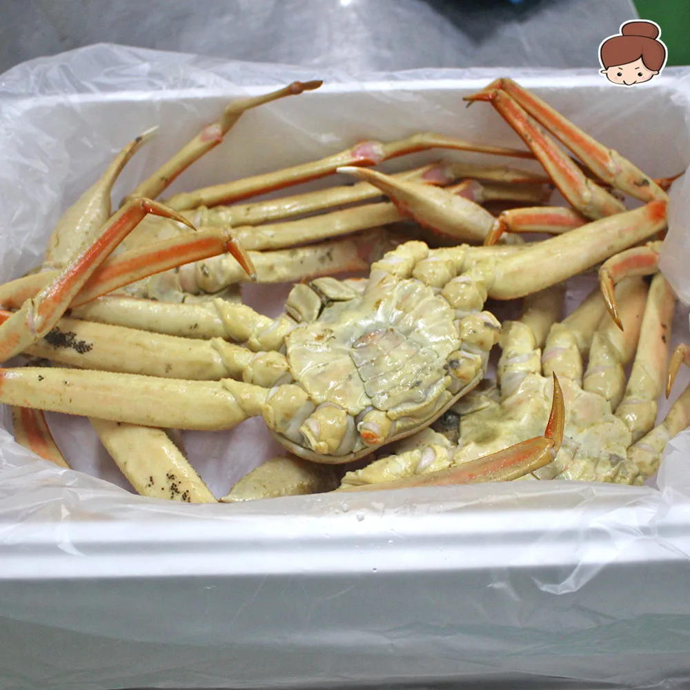 건어물녀 알뜰 활 선어 자숙 러시아 대게 3kg 매주 목-금요일 출고