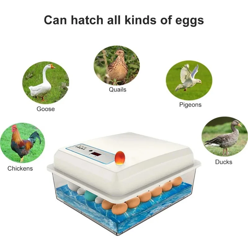 20 egg incubators Incubators are used for fully automatic breeding of geese and ducks to breed birds' eggs