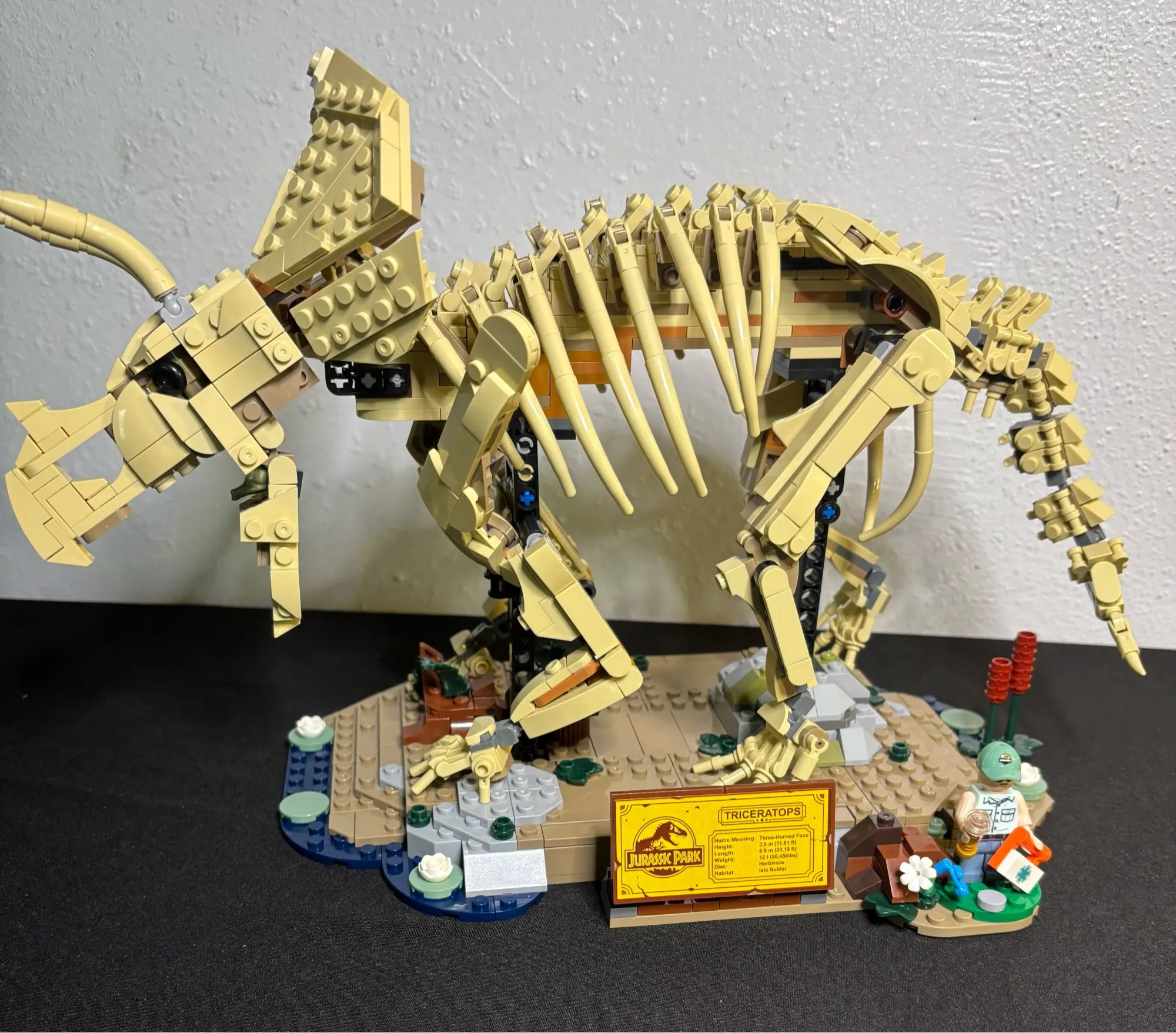 In Stock 1154pcs World Dinosaur Model Triceratops Building Blocks Assembled Model Presents for Collectors photo review