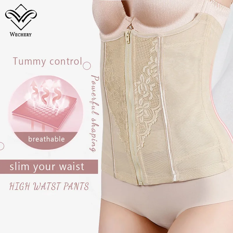 Wechery Women Lace Mesh Waist Trainer Corset Shapewear Tummy Control Waist Cincher Front Zipper Boned Slimming Body Shaper