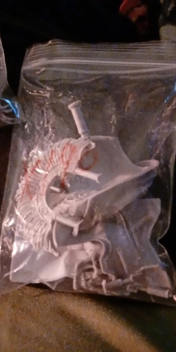 Buyer photo of this resin kit