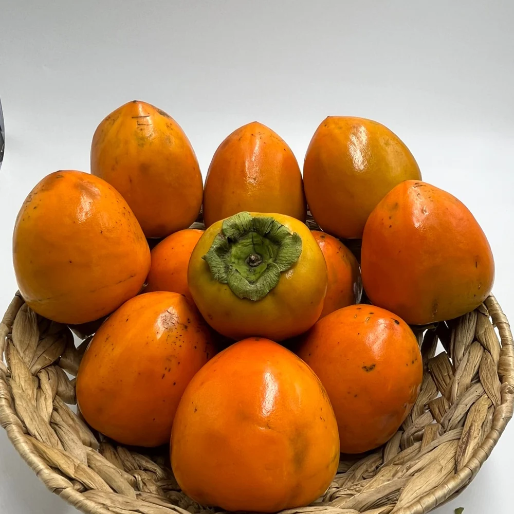가을 제철 달짝지근한 대봉감 가정용 5kg~