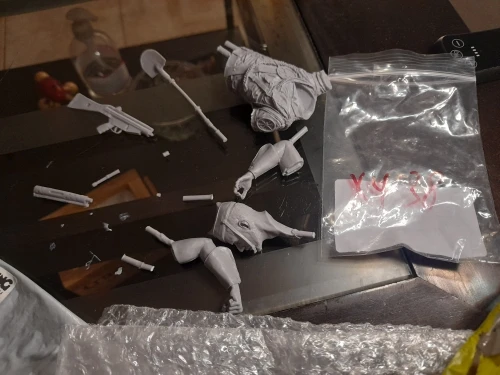 Buyer photo of this resin kit