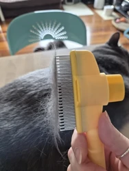 Imagen de reseña 3