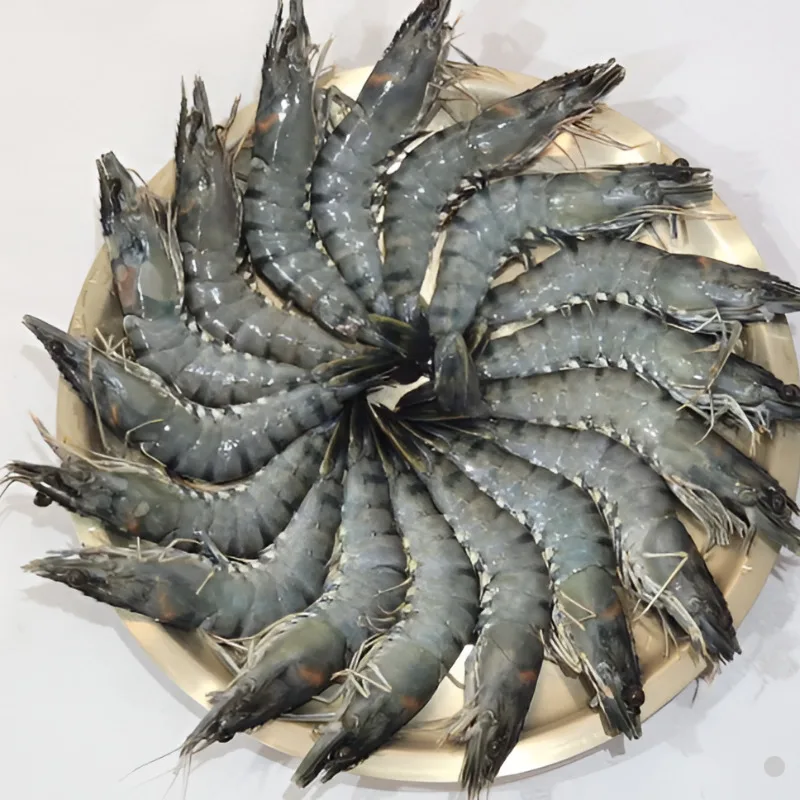 [Footy Ann] Black Tiger Shrimp 500g(17 mi)/Non for fine shrimp!