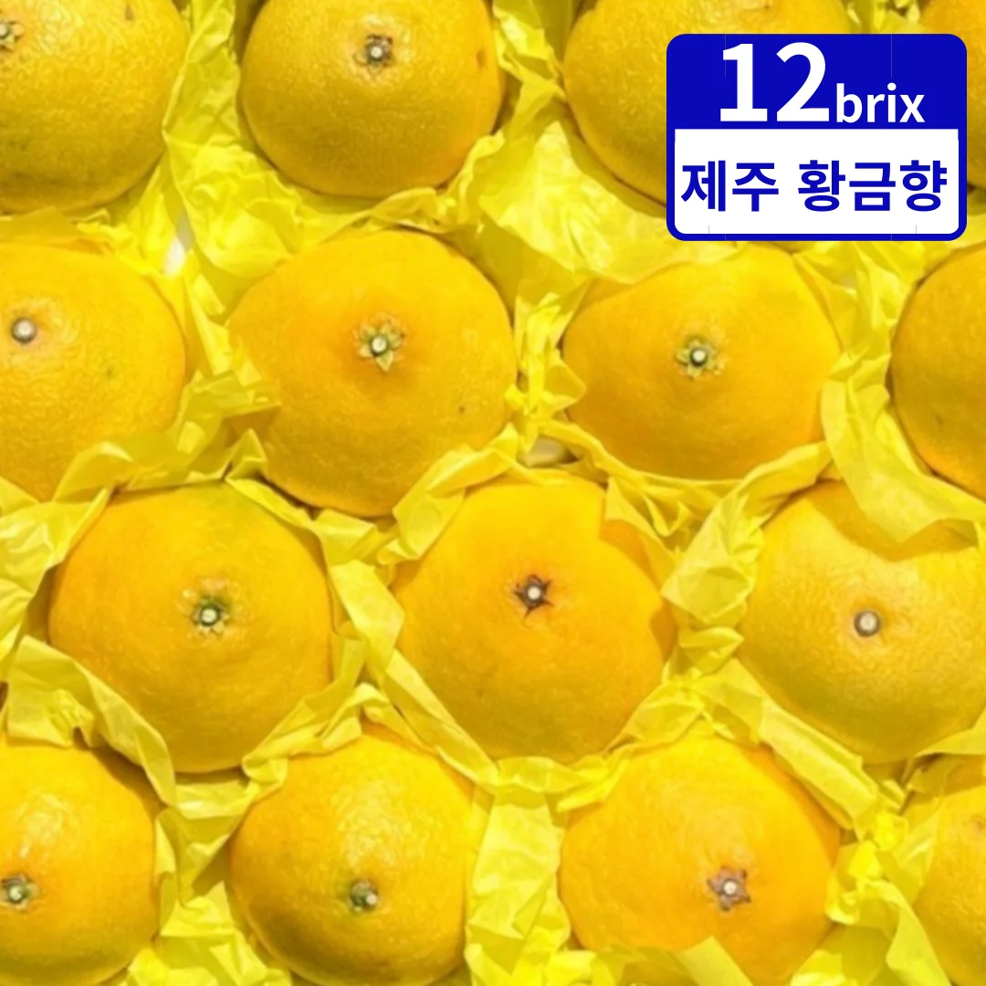 Jeju Farm Direct High Dang-do Golden Hyang for home use