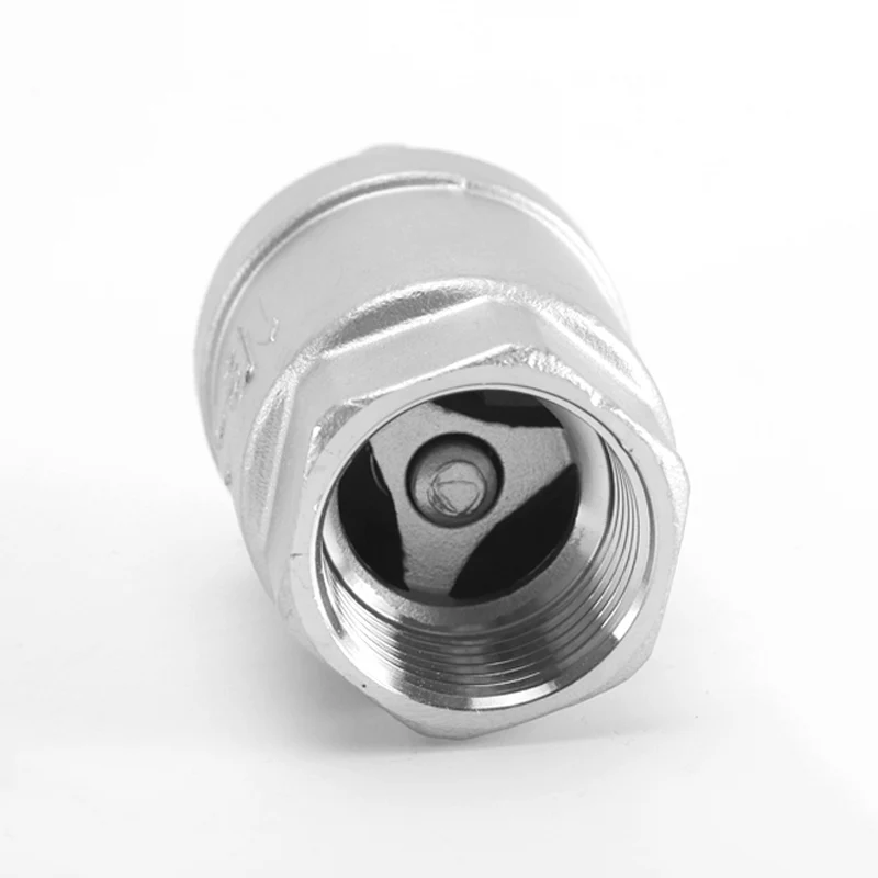 Válvula de retención unidireccional 1/4 "3/8" 1/2 "3/4" 1 "rosca hembra BSP Válvula de no retorno de acero inoxidable 304 para sellado de accesorios de tubería de bomba de agua