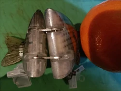 Imagen de reseña 2