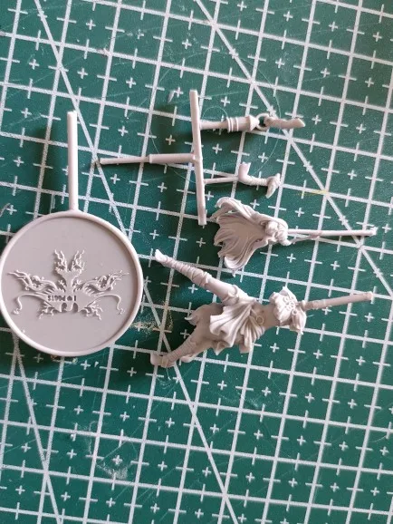Buyer photo of this resin kit