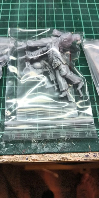 Buyer photo of this resin kit