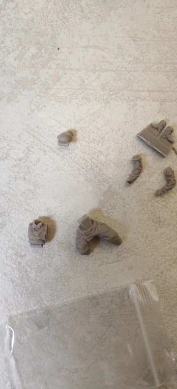 Buyer photo of this resin kit