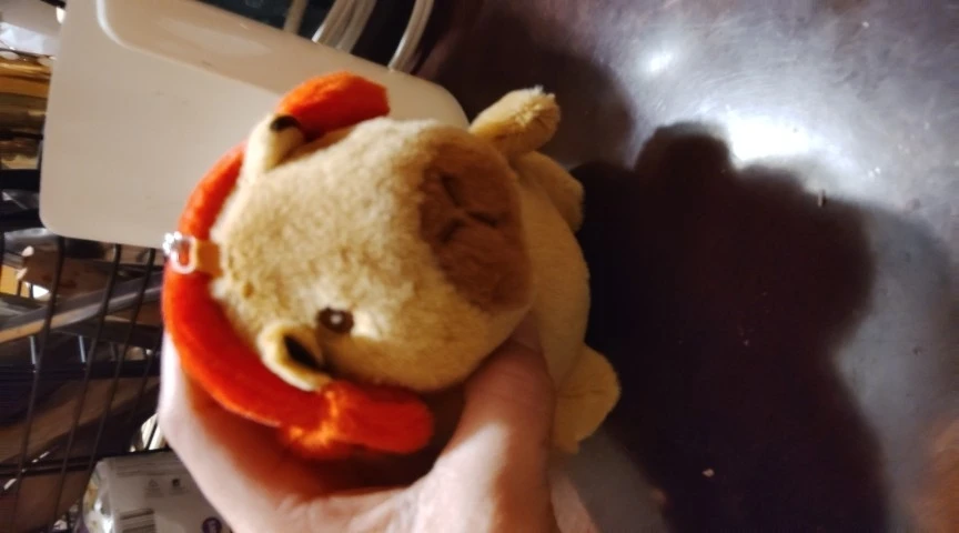 리뷰 사진