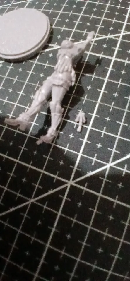 Buyer photo of this resin kit