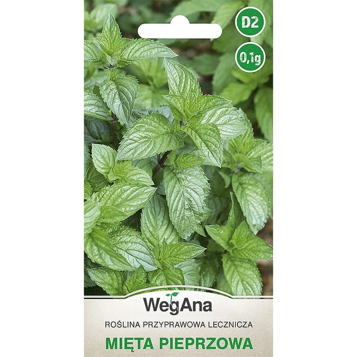 Manteca de menta 0,1 g de semillas de menta de hierba WegAna