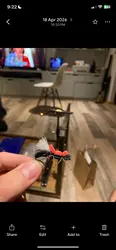 Imagen de reseña 1