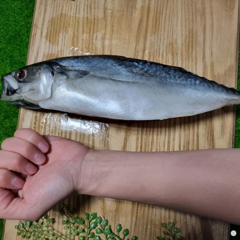 [Poodiane] Busan's oversize Xaban mackerel (8 mi)/The mackerel that is caught in the cold winter has the best taste!