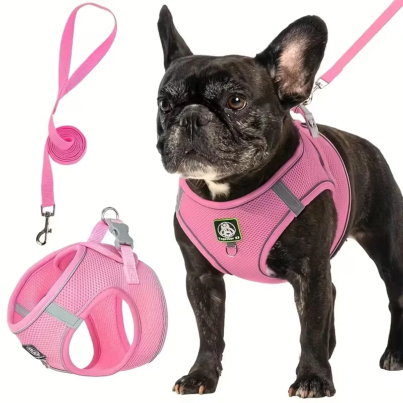 Thumbnail 3 - #60 Cheapest LED Dog Collars Deals You Can Get