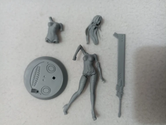 Buyer photo of this resin kit
