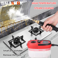 Steam Cleaner for Home Car Cleaning Quick Heating High Temperature Steam Washer 2500W Portable Handheld Pressurized Steam EU