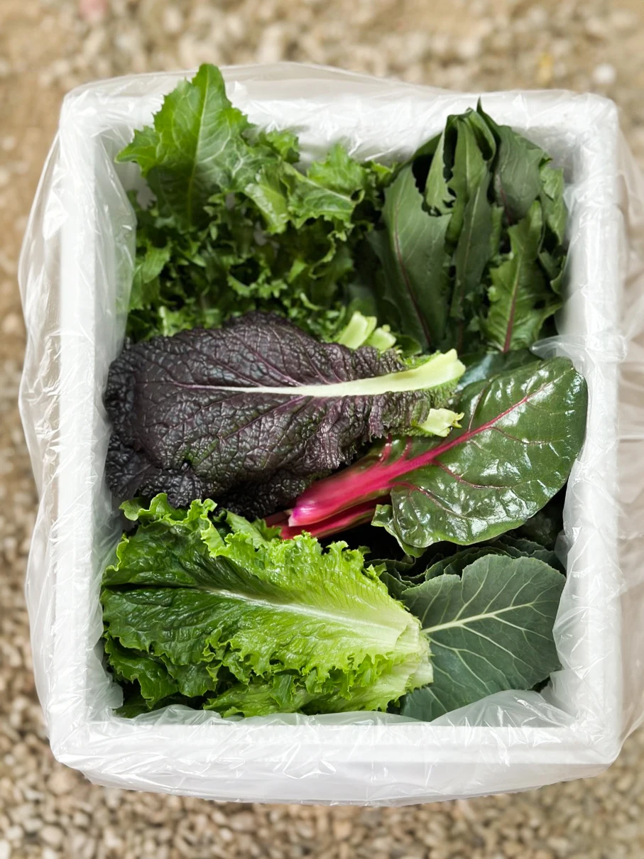 유러피안샐러드 모둠쌈채소 - 4