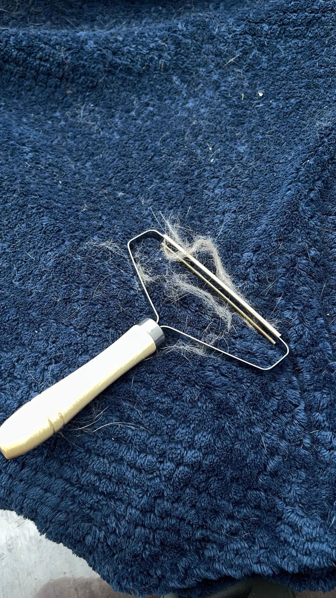 Customer review photo for Manual Pet Hair & Lint Remover Brush