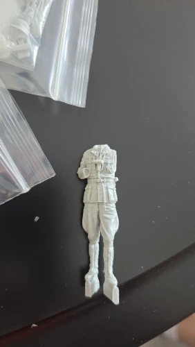 Buyer photo of this resin kit