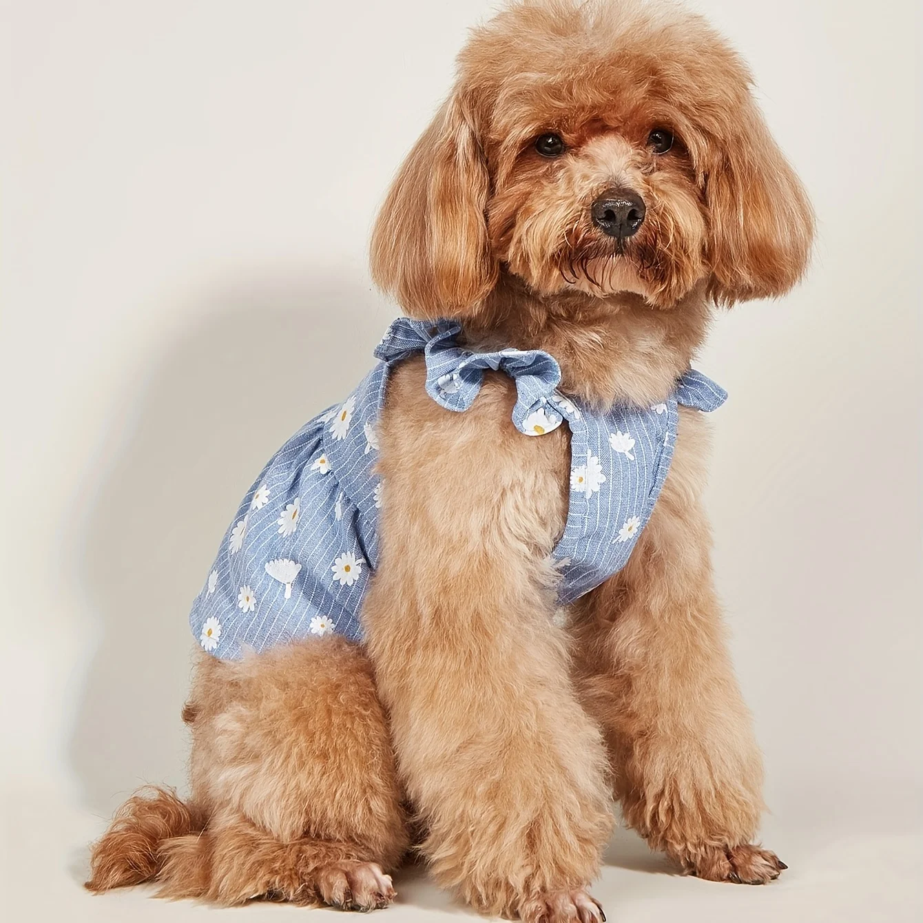 Abito per cani a righe blu con stampa margherita, vestito estivo traspirante per animali domestici con spalline arricciate, grazioso abbigliamento estivo per cani di piccola taglia, gatti, animali domestici