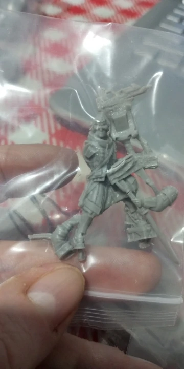 Buyer photo of this resin kit