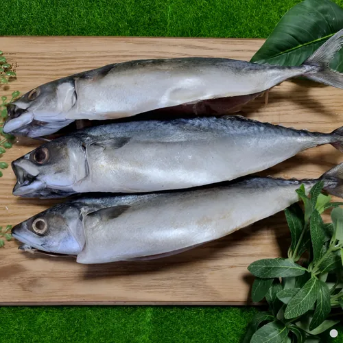 [푸디앤]  부산 특대 자반 고등어 (8미) / 추운 겨울에 잡아 작업하는 고등어는 맛이 최상! 