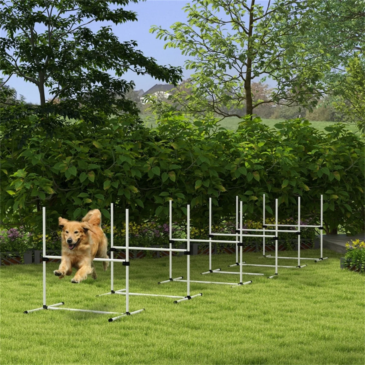 Dog Agility Equipments, Obstacle Courses Agility Training Starter Kit for Doggie, Pet Outdoor Games Backyard Interactive Play