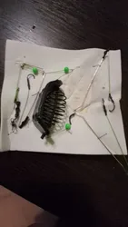 Imagen de reseña 2