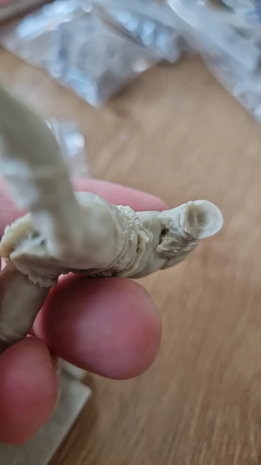 Buyer photo of this resin kit