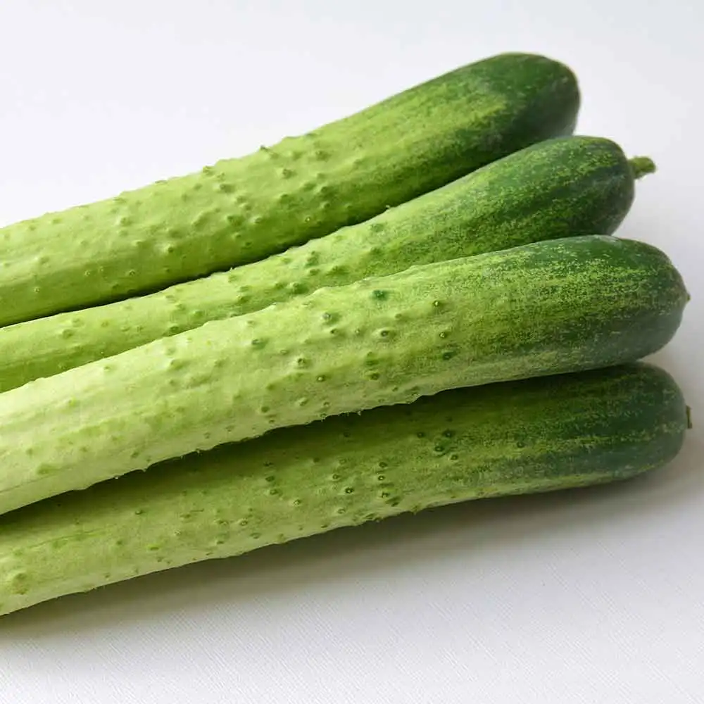 1kg of domestic crunchy white Dago cucumbers