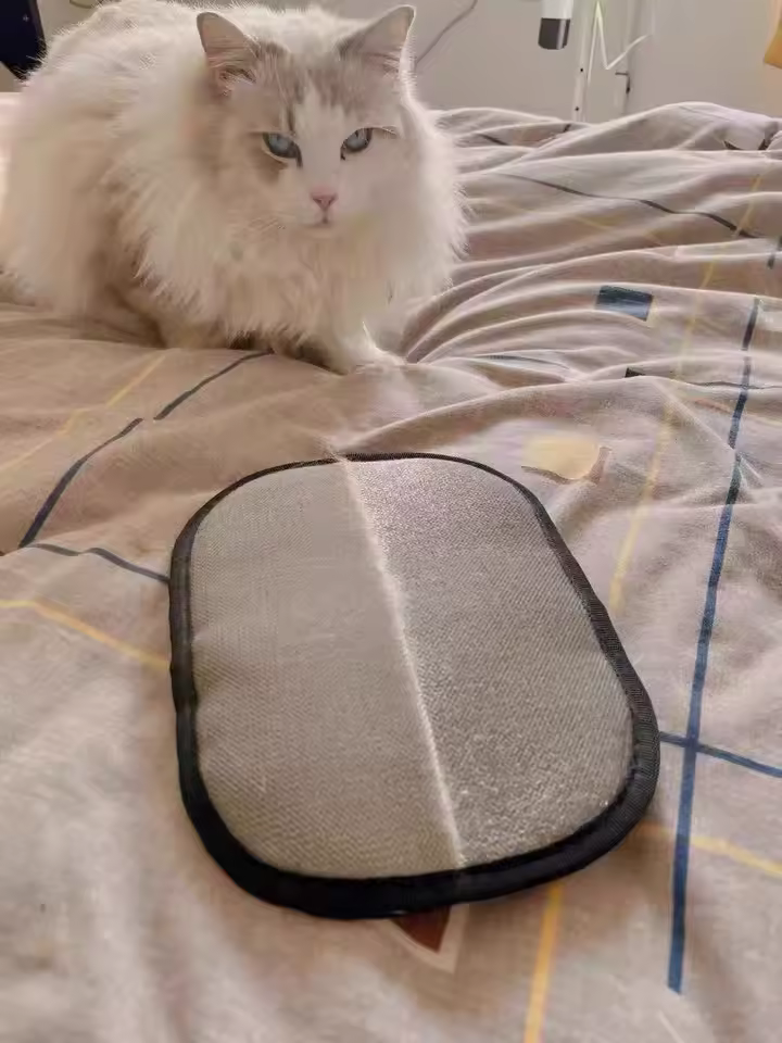 Collected cat fur customer result